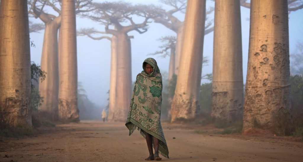 Girl and Baobabs, Madagascar. Photograph by Ken Thorne for National Geographic